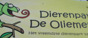 Oliemeulen