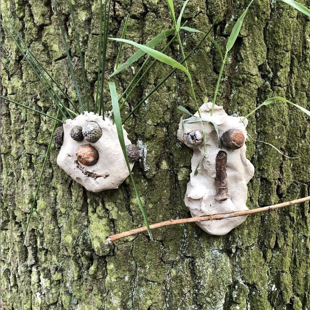 Boomtrollen natuurwandeling