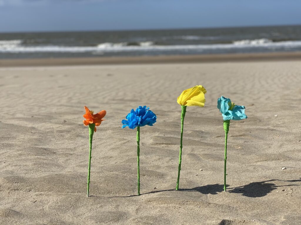 Zuidwest overdracht Mondwater Strandbloemen maken om te verkopen tegen schelpjes - Webkonijn