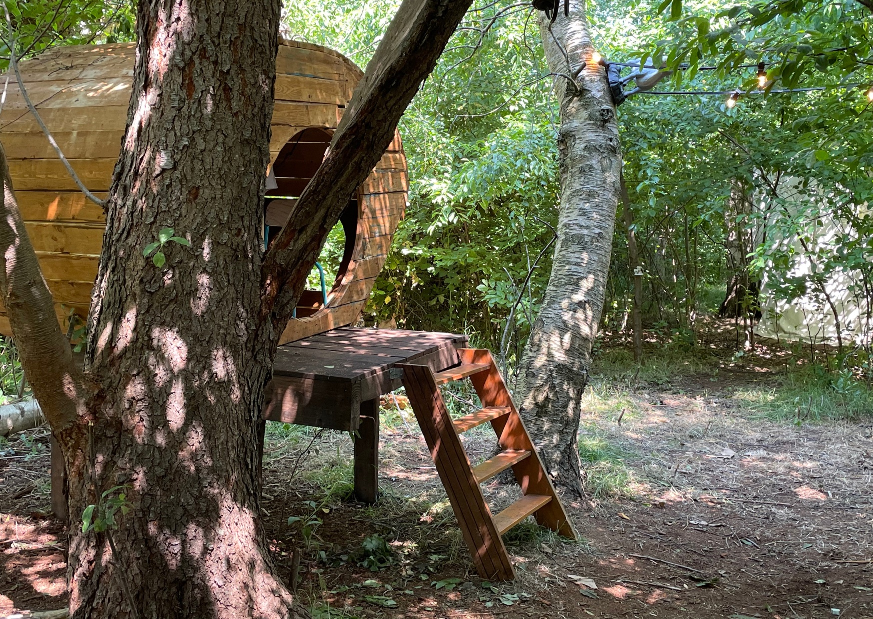 Speelveld Boomhut