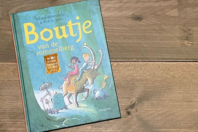 Boutje van de Rommelberg boek