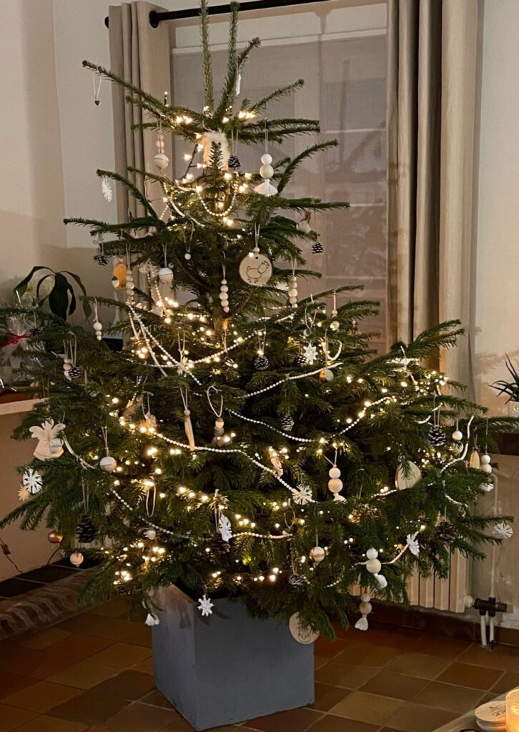 Echte Kerstboom